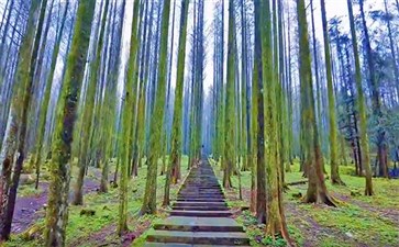 武陵山国家森林公园