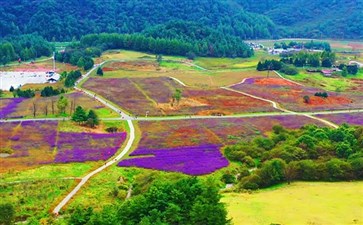 巫溪红池坝秋景