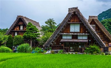 日本当地旅游：白川乡合掌村夏季