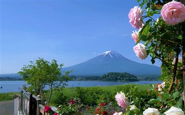 日本旅游：河口湖大石公园观富士山