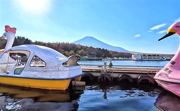 日本旅游：山中湖天鹅船