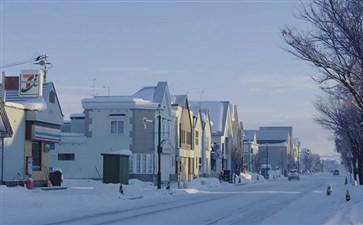 日本旅游：北海道美瑛街道