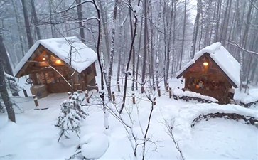 日本旅游：北海道森林精灵露台