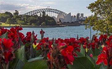 澳大利亚旅游：悉尼皇家植物园