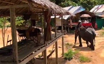泰国普吉岛旅游：骑大象