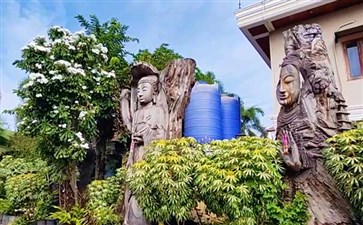 老挝旅游：万象神木博物馆