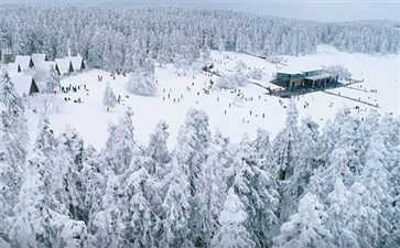 重庆武隆仙女山雪景