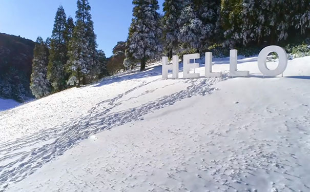 2023-2024年金佛山下雪了吗？12月16日金佛山雪景