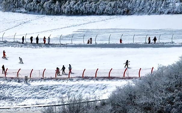 2023-2024年金佛山下雪了吗？12月16日金佛山西坡滑雪场