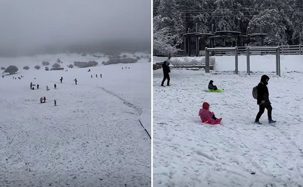 2023-2024武隆仙女山下雪了么？12月16日仙女山雪景