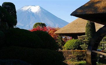 日本旅游：富士山忍野八海