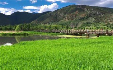 全景云南旅游：泸沽湖走婚桥