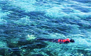 澳大利亚旅游：凯恩斯大堡礁摩尔外堡礁浮潜