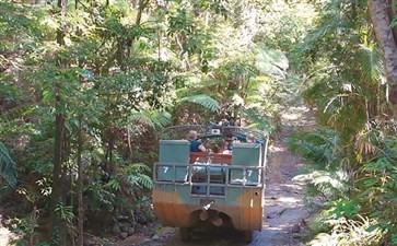澳大利亚旅游：凯恩斯水路两栖车游库兰达热带雨林