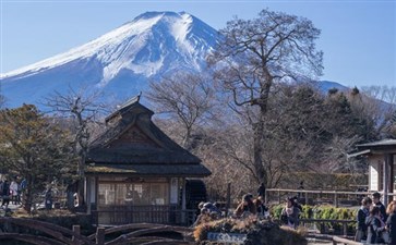 日本旅游：富士山忍野八海