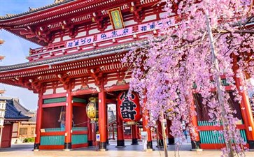 日本旅游：东京浅草雷门观音寺