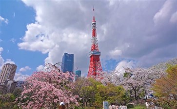 日本旅游：东京芝公园