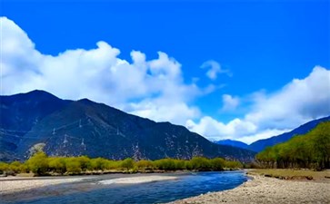 林芝雅尼湿地公园