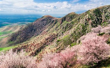 新疆旅游专列：伊犁吐尔根杏花沟