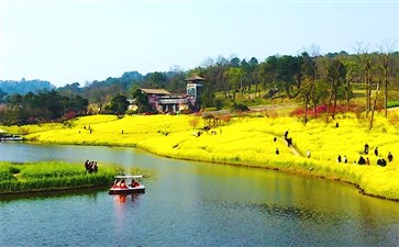 重庆周边一日游：云林天乡油菜花