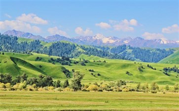 新疆伊犁那拉提大草原