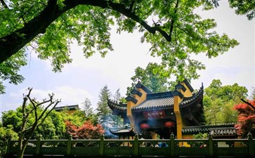 华东旅游：杭州灵隐寺