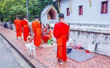 老挝琅勃拉邦僧侣布施