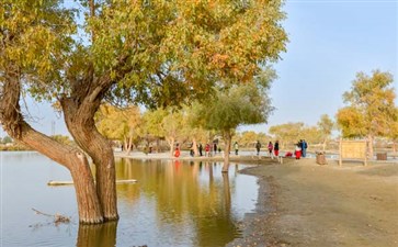 新疆专列旅游：塔克拉玛干沙漠罗布人村寨