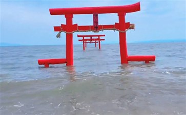 日本旅游：佐贺大鱼神社海中鸟居