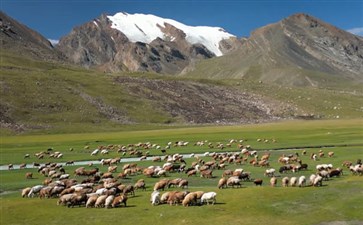 新疆自驾旅游：温泉县鄂托克赛尔天泉景区