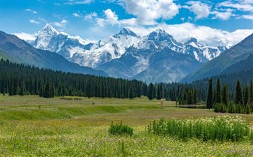 新疆自驾旅游：夏塔古道森林公园