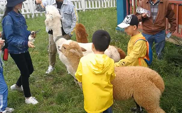 5月份内蒙古旅游：列夫湿地