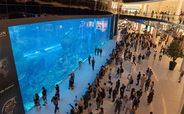 阿联酋旅游：迪拜DubaiMall室内水族馆