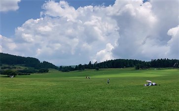 仙女山国家森林公园
