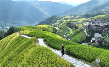 龙脊平安梯田
