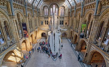 英国伦敦自然历史博物馆