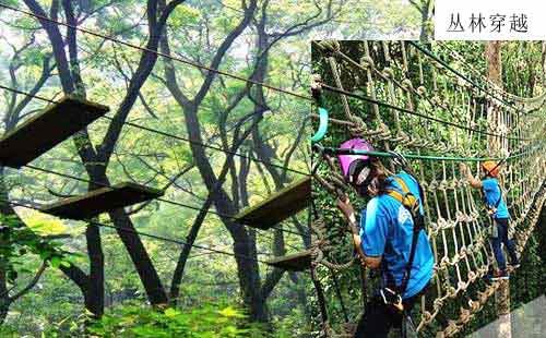 重庆出发国内旅游_重庆周边四面山5天荒野探险夏令营[飞跃丛林]<重庆周边夏令营旅游，四面山夏令营，丛林穿越、户外拓展、皮划艇比赛、户外徒步...>