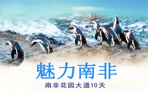 重庆出发海滨旅游_南非花园大道10日精品游[重庆到南非旅游]<南非旅游精品团，安排1晚茅草屋+1晚乡村酒店+1晚酒庄区，比林斯堡动物保护区+企鹅滩+好望角+奈斯那船游环礁湖+观光小火车>