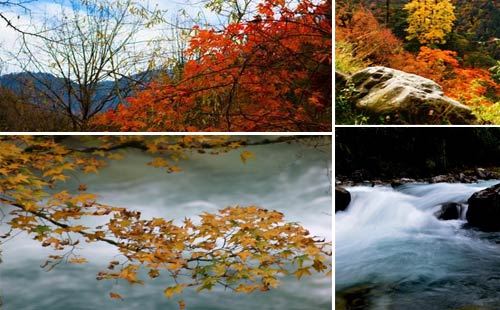 四川二郎山·喇叭河+烟雨柳江+上里古镇3日红叶游