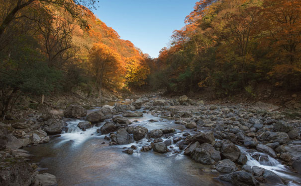 重庆到四川旅游_重庆到光雾山红叶节+朱德故里二日旅游[纯玩0购物]<秋季红叶游，油画光雾山，金秋赏枫秘境！游米仓山森林公园(大坝)+朱德故里，金秋光雾山旅游火爆预定中！>