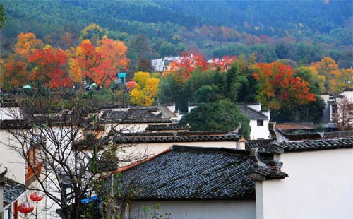 重庆到安徽旅游_婺源篁岭+塔川+宏村+石城+菊径+漳村[双飞4天·赏枫秋摄·纯玩旅游]<婺源秋季旅游，古徽州观红叶&赏枫&秋摄六大经典代表：宏村、塔川、婺源(篁岭+石城+菊径+漳村)>