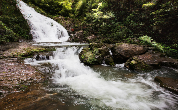 重庆周边旅游_重庆万盛黑山谷一日游【自由行】<本线路已下架，游客可咨询客服选择其他黑山谷旅游线路！纯粹重庆周边自由行旅游线路，套餐可选，欢迎预定！往返车位+黑山谷景区门票！>