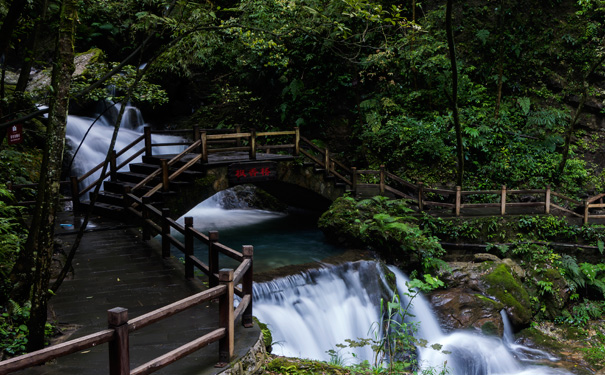 重庆出发品质旅游_重庆万盛黑山谷+龙鳞石海二日游<重庆二日游，养生健走黑山谷，醉美石海龙鳞石海！含黑山谷景区中转车费用！>