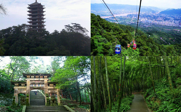 重庆周边旅游_重庆自然博物馆、北碚缙云山一日游报价<重庆周边一日游><游览重庆周边北碚缙云山、金果园，参观重庆自然博物馆！>