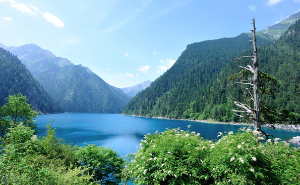 重庆到峨眉山旅游_九寨沟+牟尼沟+乐山大佛+峨眉山+熊猫乐园8天夕阳红旅游[动车往返]<散客暂无团期，团队游客可咨询客服！安排四川精华景点，每人赠送一份精致洗漱包、雨伞、合影一张，旅行更省心！>