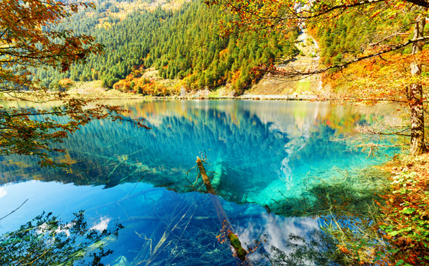 重庆到九寨沟双飞四日游_重庆到九寨沟旅游