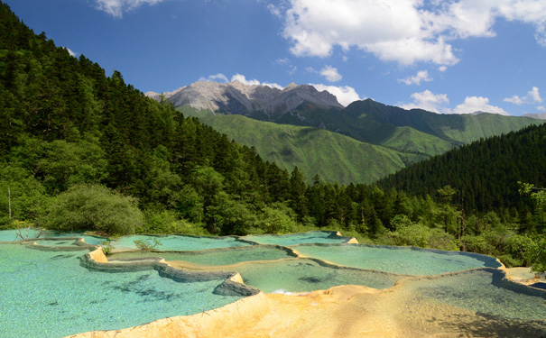 黄龙+青城山+都江堰+熊猫基地双动5日旅游[0购物0自费]