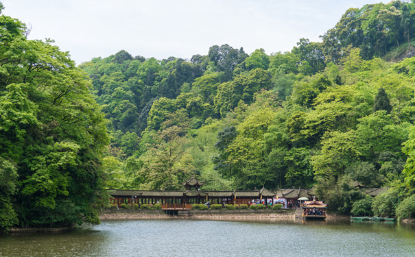 重庆到四川旅游_[纯玩]成都锦里+宽窄巷子+青城山+都江堰2/3日游<重庆到成都二日游，纯玩旅游线路无自费无购物，青城山+都江堰+成都宽窄巷子+锦里！>