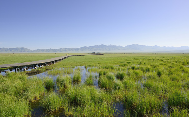 重庆出发主题旅游_若尔盖草原花湖+薰衣草田汽车4日游<经典川西若尔盖旅游线路，游览夏季盛放的若尔盖草原明珠—花湖，川西高原上最大的薰衣草基地！>