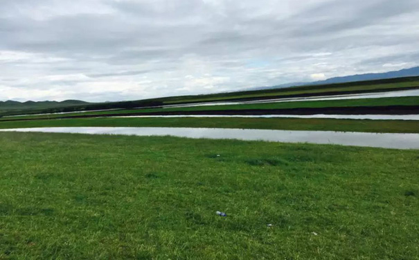 重庆到川西旅游_川西若尔盖草原+九曲黄河第一湾+俄么塘花海+花湖4天自驾旅游<重庆自驾川西旅游，游俄么塘花海+九曲黄河第一湾+花湖+红原大草原+若尔盖大草原+陶萍羌寨，自驾赏尽沿途草原景色！>